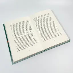 Тим, Полин и Франсуа - Ольга Войтенко | Издательство Старого Льва, книга на украинском, новая, твердая - миниатюра 3