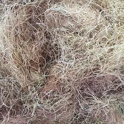 100 г кукурудзяні рильця сушені - свіжий урожай