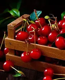 Саджанець Agro-Market Вишня Іграшка (літній сорт, ранній термін дозрівання) (21361) 1 шт. в упаковці - мініатюра 3