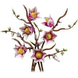 Конструктор LEGO Botanicals Гілки магнолії 435 деталей (11510) - мініатюра 3