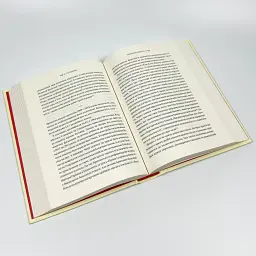 Безлад. Тяжкі часи у XXI столітті - Гелен Томпсон | Vivat, книга українською, нова, тверда - мініатюра 3