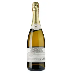 Вино ігристе Jacob's Creek Chardonnay Pinot Noir, біле, сухе, 11,5%, 0,75 л (2003) - мініатюра 2