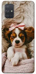 TPU чохол Demsky Sleepy spaniel для Samsung Galaxy A71