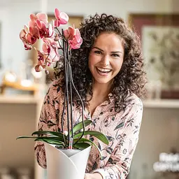 Вазон Lechuza Orchidea, 1 л, сірий (13961) - мініатюра 11