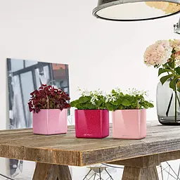 Вазон Lechuza Cube Glossy 14 рожевий (13513) - мініатюра 3