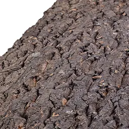 Фон з кори Repti-Zoo Big Tree Background 30х30 см (NCT10) для тераріуму - мініатюра 3