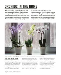 Grow Orchids. Essential Know-how and Expert Advice for Gardening Success - мініатюра 6