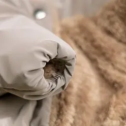 Комбінезон Pet Fashion Ego для собак, розмір XS2, бежевий - мініатюра 4