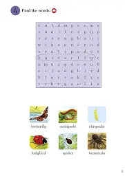 Ladybird Readers 3 Minibeasts Activity Book - мініатюра 5