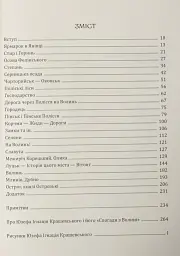 Спогади з Волині, Полісся і Литви. 1840 рік - Юзеф Крашевський - мініатюра 5