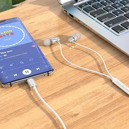 Навушники Hoco M90 Type-C Delight wired digital earphone with microphone чорні (6931474759382) - мініатюра 5