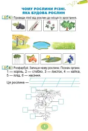 Я досліджую світ 1 клас. Зошит-практикум. Частина 2 - мініатюра 2