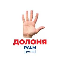Набір розвиваючих карток Ranok Creative Геній з пелюшок Будова тіла 17 шт. 10107202  - мініатюра 2