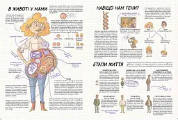Тіло людини. Як це працює? - мініатюра 4