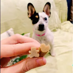Натуральні ласощі для зубів цуценят WHIMZEES Puppy Dental Care Dog Treat M/L 14 шт. - мініатюра 4