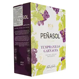 Вино Penasol Tempranillo-Garnacha, 12.5% 3 л (728142) - мініатюра 2