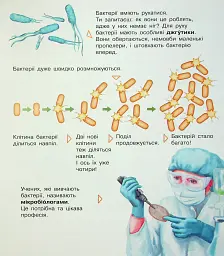 Енциклопедія дошкільника. Мікроби - мініатюра 12