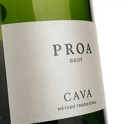 Ігристе вино Vallformosa Proa Brut, біле, брют, 0,75 л - мініатюра 3
