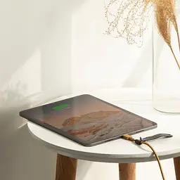Кабель USB-C to USB-C Native Union Belt Cable Kraft 1.2 м (BELT-C-KFT-2-NP) - мініатюра 5