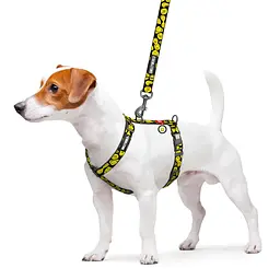 Шлея для собак Waudog Nylon анатомічна H-подібна з QR-паспортом розмір XL 2.5х60-100х68-100 см смайли на чорному - мініатюра 3