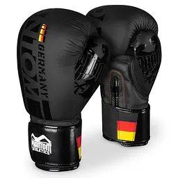 Боксерські рукавички Phantom 12 унций fit0011725