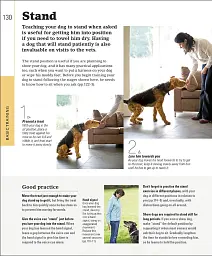 The Beginner's Dog Training Guide - мініатюра 5