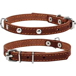 Нашийник для собак одинарний Collar з прикрасою (4820082496319)