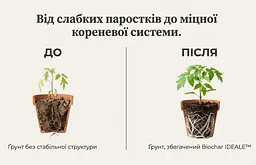 Біочар IDEALE для кімнатних рослин та розсади 1,5 л - мініатюра 3