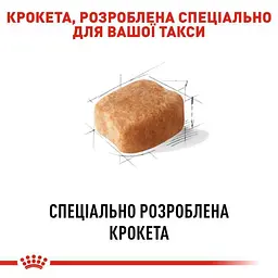 Сухий корм для дорослих собак породи Такса Royal Canin Dachshund Adult, 1,5 кг (3059015) - мініатюра 4