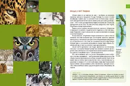Енциклопедія для допитливих А5 : Тварини - майстри маскування (Українська ) - мініатюра 2