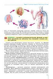 Біологія 8 клас - мініатюра 3
