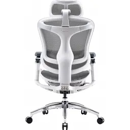 Офісне крісло Sihoo DORO C300 Pro Mesh White (DORO-C300-PRO-M102) - мініатюра 2