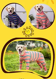 Піжама/попона для собак MIAODODO D15 Pink Stripes, M - мініатюра 5