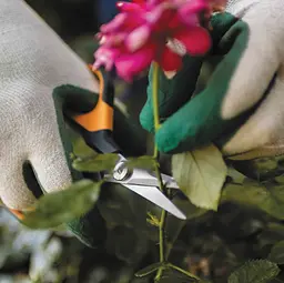 Ножиці для рослин і квітів Fiskars Solid ™ Softgrip SP15 1051602 - мініатюра 5