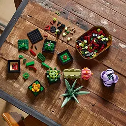 Конструктор LEGO Botanicals Сукуленти 771 деталь (10309) - мініатюра 6