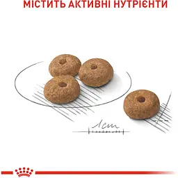 Сухий корм для стерилізованих собак Royal Canin CCN Mini Sterilised 3 кг - мініатюра 4