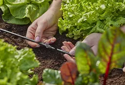 З'єднувач прямий Gardena Micro-Drip-System для шлангів 4,6 мм, 10 шт (13213-20) - мініатюра 4