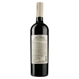 Вино Tierra Telteca Cabernet Sauvignon червоне сухе 0.75 л - мініатюра 2