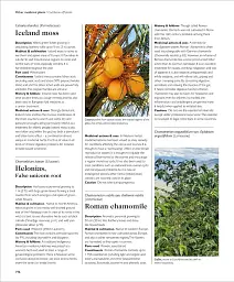 Encyclopedia of Herbal Medicine - мініатюра 11