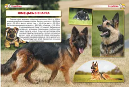 Енциклопедія Кристал Бук Собаки (F00028100) - мініатюра 3
