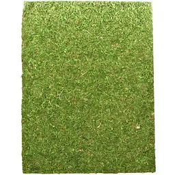 Фон з натурального моху Repti-Zoo Natural Moss Back & Bottom 50x25см 2 шт (NCM5025) для тераріуму - мініатюра 1