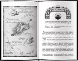 Шлях королів. Хроніки Буресвітла. Книга 1 - мініатюра 7