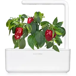 Змінний картридж Click & Grow Smart Garden Жовтий перець чілі, 3 капсули (9186) - мініатюра 4