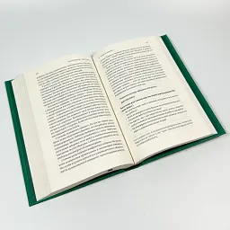 Гора з плечей — Марія Фабрічева | Лабораторія, книга українською, нова, тверда - мініатюра 4