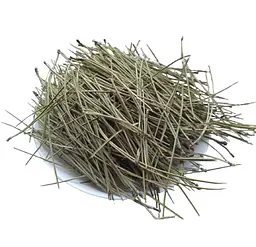 Сосна звичайна Голки Паросель Хвійка Хвойка Pinus sylvestris - мініатюра 1