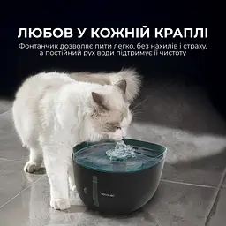 Поїлка-фонтанчик для тварин Cecotec Pumba 2200 Refresh - мініатюра 5