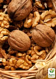 Саджанець Agro-Market Волоський горіх Буковинська бомба (середній термін дозрівання) 1 шт. в упаковці (44480) - мініатюра 6