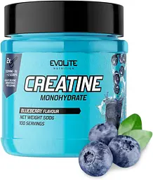 Креатин Evolite Nutrition Моногідрат - 500 г