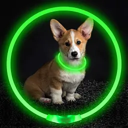 Нашийник для собак зелений 50см USB LED нашийник для цуценят з підсвічуванням відрізний - мініатюра 2