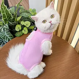 Одяг для котів після операції Holley Pink M